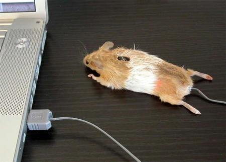 компьютерная мышка Real Mouse