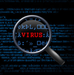 Самые страшные компьютерные вирусы в истории Интернета