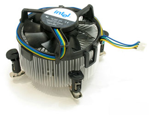 ������ �����