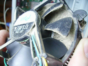 ������� ����� ����� - ������� ���������� ����������